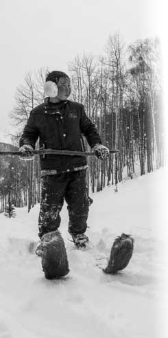ALtai Skier Web Cover