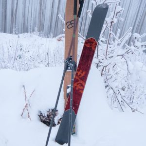 Altai Skis Adjustable Poles