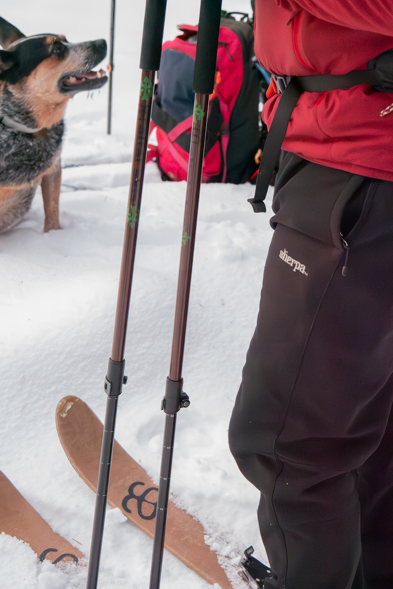 Ski poles A person with Altai Skis on and ski poles in hand with a dog in the background