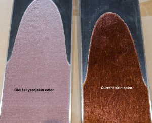 FAQs Skin Color Differences 300x243